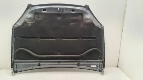 Motorhaube 7901H9
