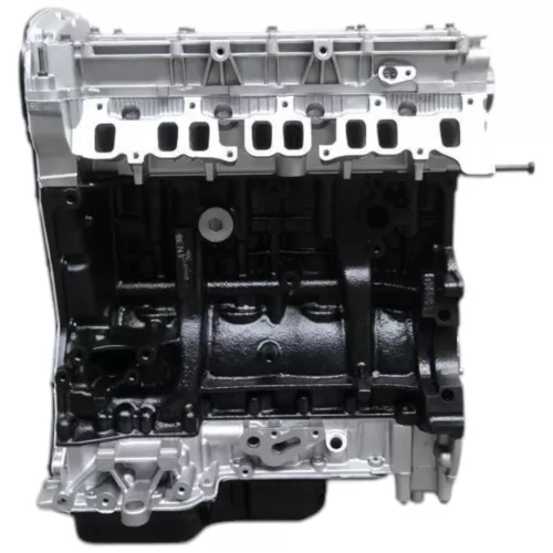 T3/ HDI 2.2 4HV PUMA 22DT/ 100PK/ ZIE.0135KX